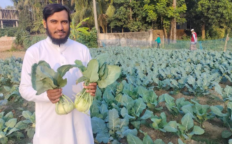 দাগনভূঞায় বিদেশী সবজির বাণিজ্যিক আবাদ